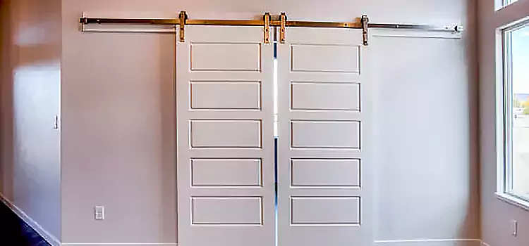 Glass Barn Door with Installation Hardware Kit Rochester Hills