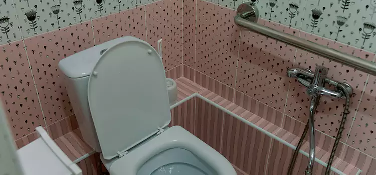 Meeting Diverse Needs With Accessible Restroom Solutions in Rochester Hills, MI