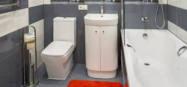 Hansgrohe Shaving Mirror Rochester Hills